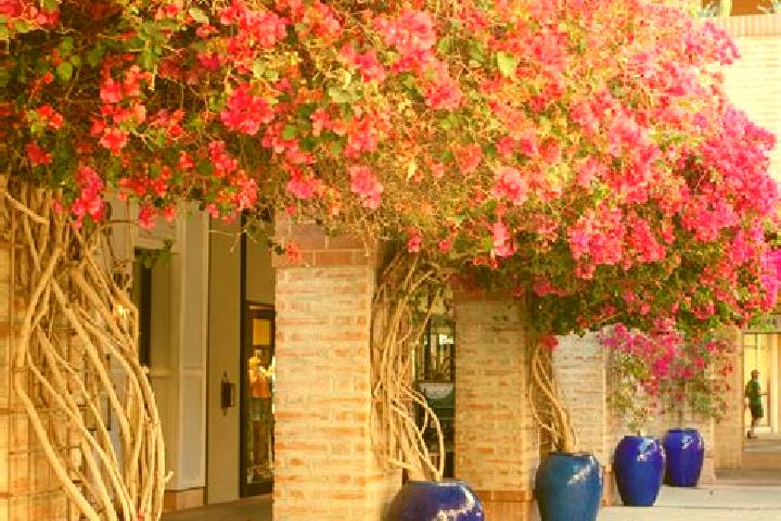 Layla, 22 — Escort in Bugambilias (La Cruz), Mexico