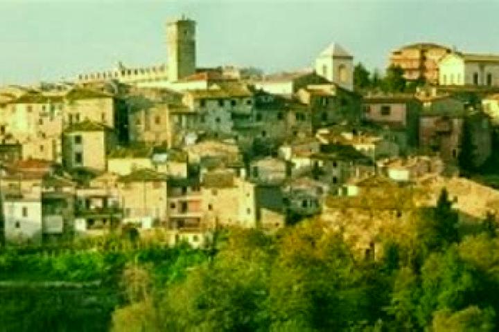Layla, 22 — Escort in Civitella San Paolo, Italy