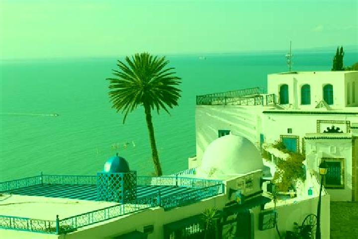 Layla, 22 — Escort in Jedeida, Tunisia