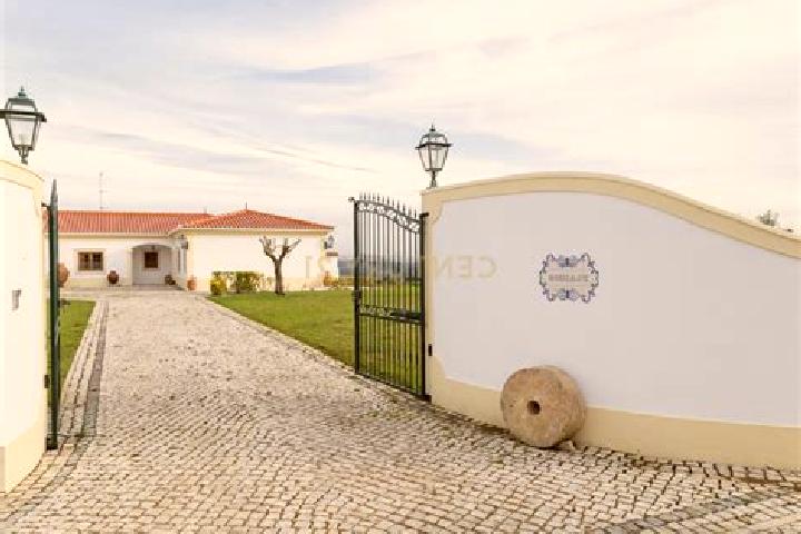 Layla, 22 — Escort in Moita dos Ferreiros, Portugal