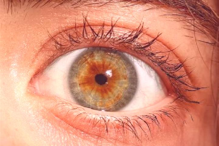 Layla, 23, a red hazel-eyed asian companion based in Carlow. Offering Domination, Massage, Overnight. Available for incall and outcall, day and evening dates.