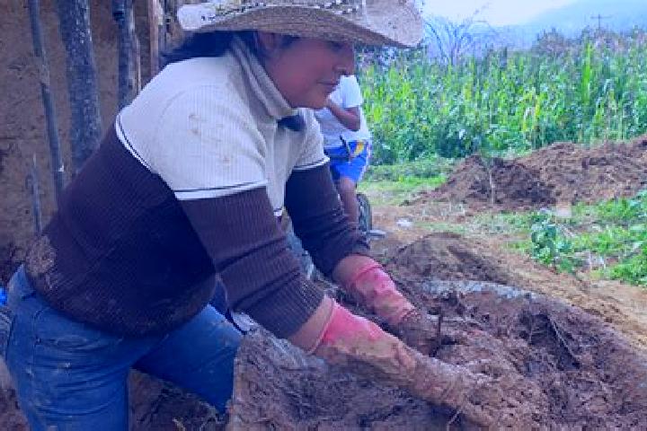 Layla, 23 — Escort in Paso de la Milpa, Mexico