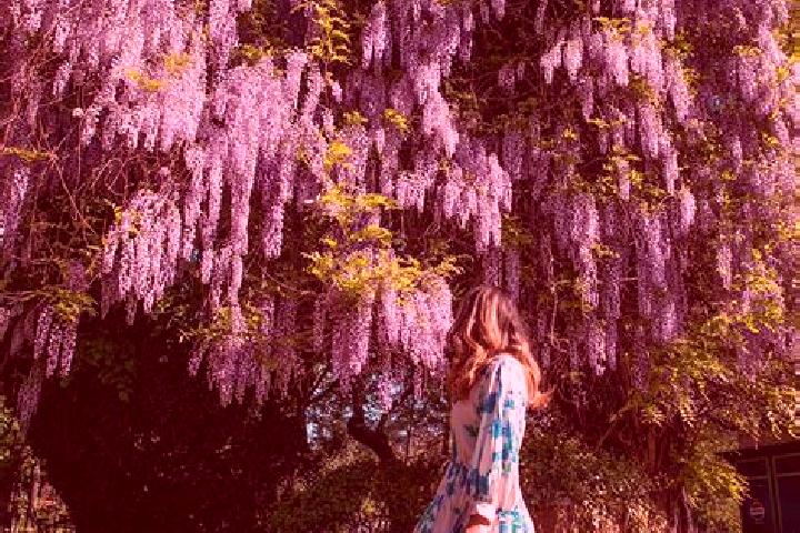 Layla, 23 — Escort in Schitu Scoicesti, Romania