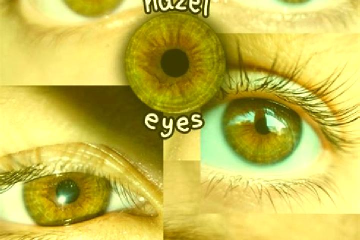 Layla, 24, a chestnut hazel-eyed asian companion based in Castelnovo ne Monti. Offering GFE, Roleplay, Overnight. Available for incall and outcall, overnight...