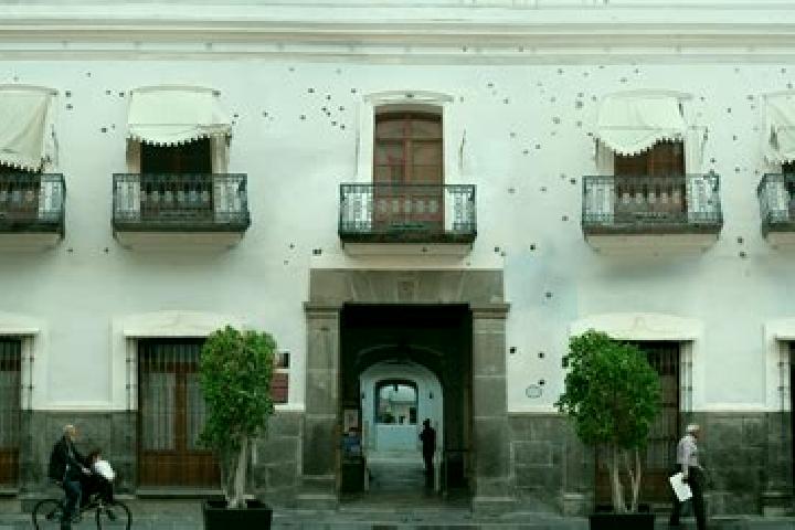 Layla, 24 — Escort in Aquiles Serdan (La Hediondilla), Mexico