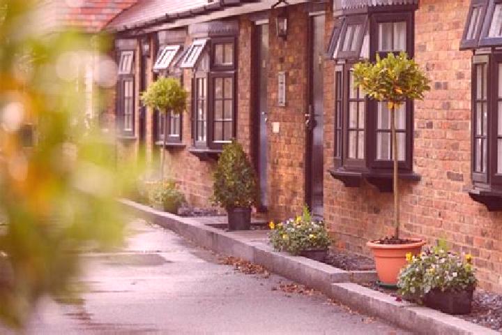 Layla, 24 — Escort in Eton, United States