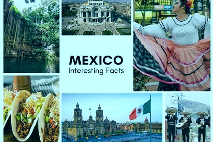 Layla, 25 — Escort in Amatlicha, Mexico