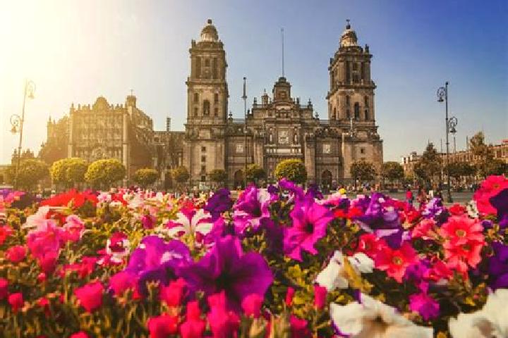 Layla, 25 — Escort in Ciudad de Huitzuco, Mexico