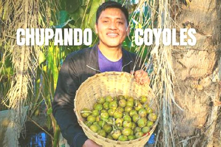 Layla, 25 — Escort in Coyoles Central, Honduras