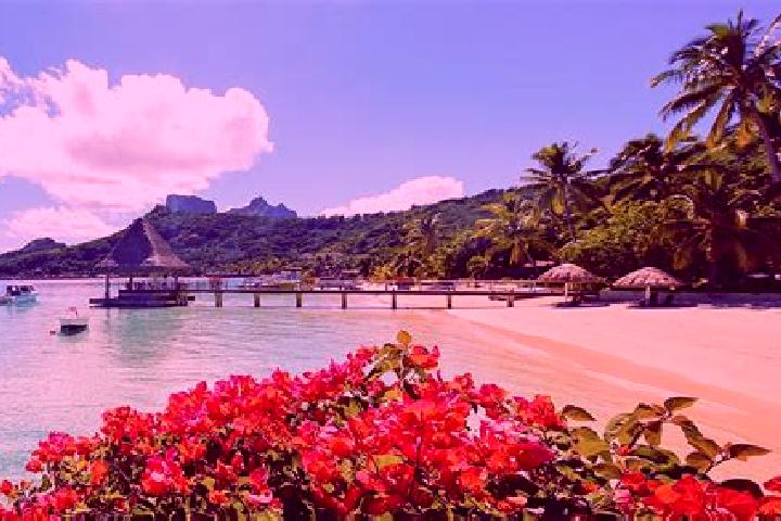 Layla, 25 — Escort in Fare, French Polynesia