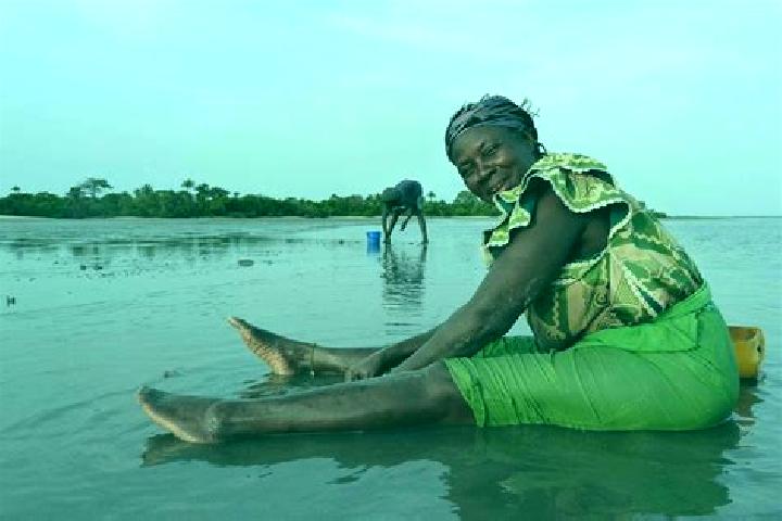 Layla, 25 — Escort in Garawol, Gambia