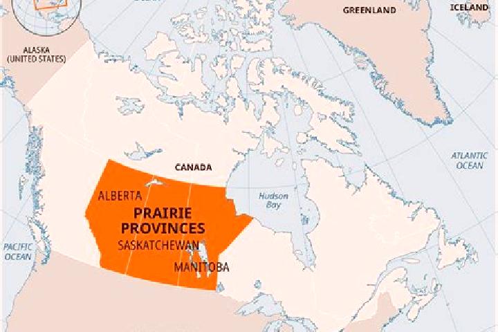 Layla, 25 — Escort in High Prairie, Canada