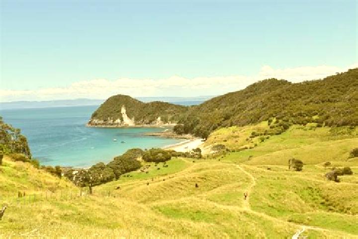 Layla, 25 — Escort in Kenmure, New Zealand