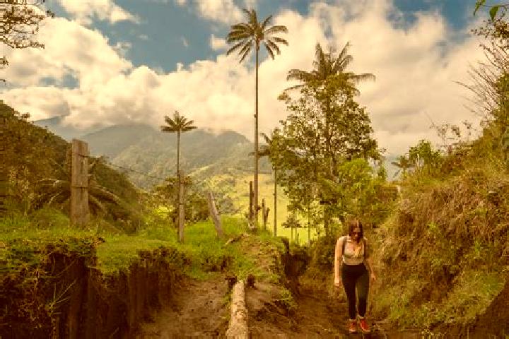 Layla, 26 — Escort in Cocora, Romania