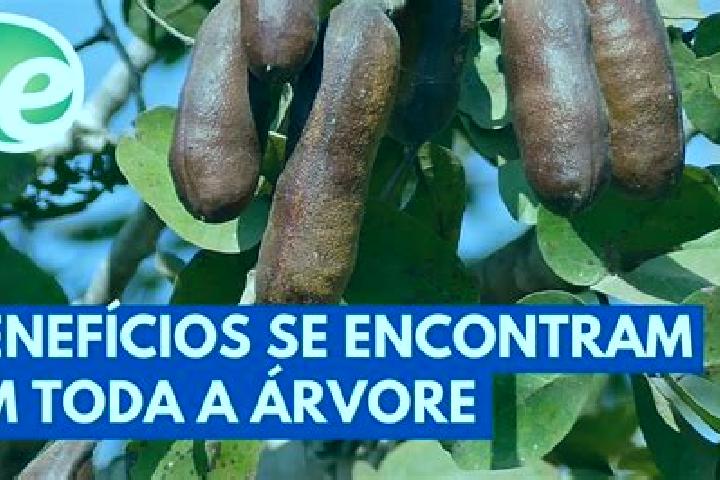 Layla, 26 — Escort in Jatoba do Piaui, Brazil