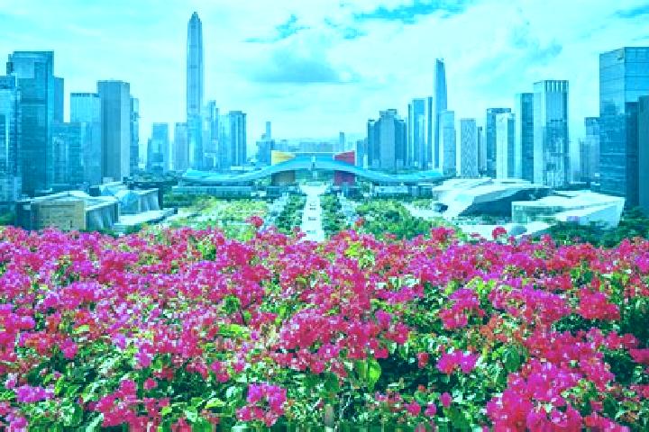 Layla, 26 — Escort in Lianhua, China