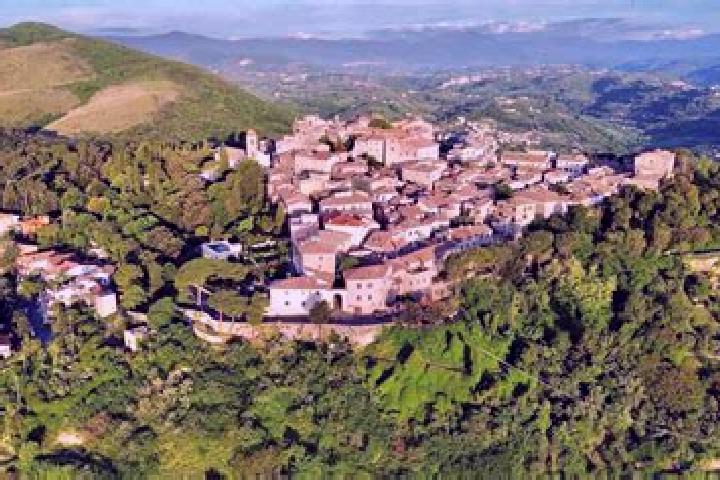 Layla, 26 — Escort in Monte San Giovanni in Sabina, Italy