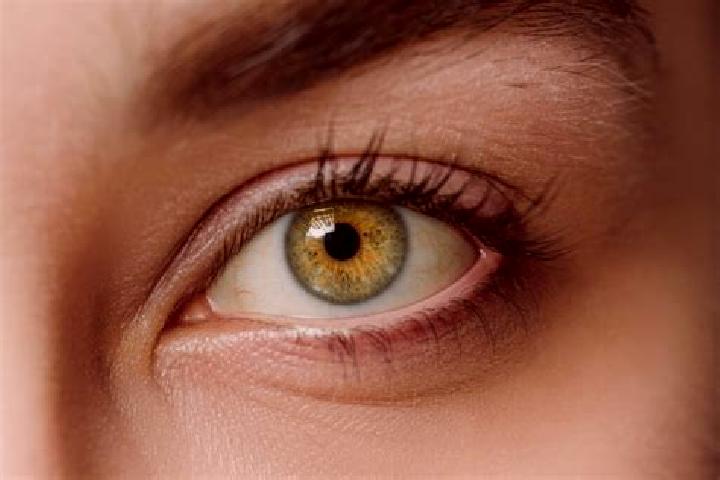 Layla, 27, a chestnut hazel-eyed mixed companion based in Tomochi. Offering Party Girl, 69, Overnight, Couples, GFE. Available for incall and outcall, overni...