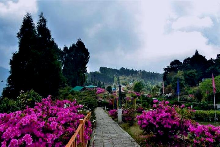 Layla, 27 — Escort in Kalimpong, Kruketi, India