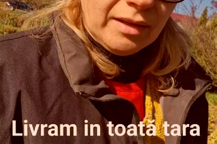 Layla, 27 — Escort in Rugasesti, Romania