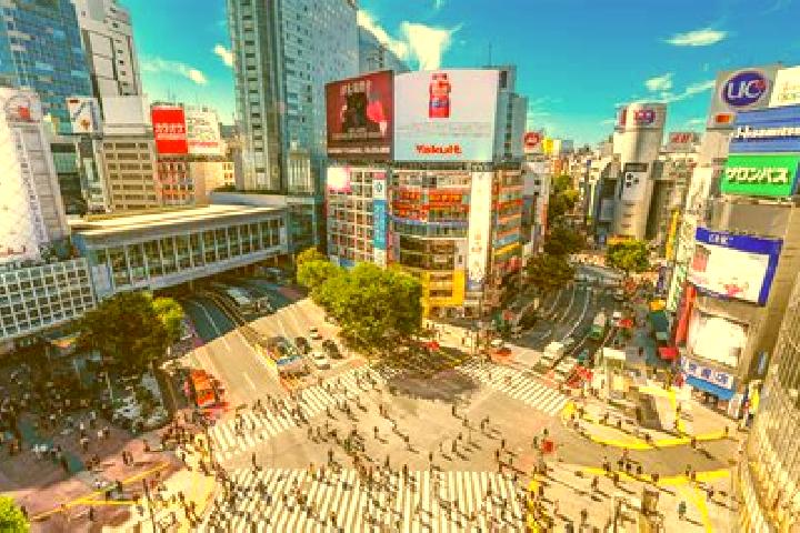 Layla, 27 — Escort in Shibuya, Japan