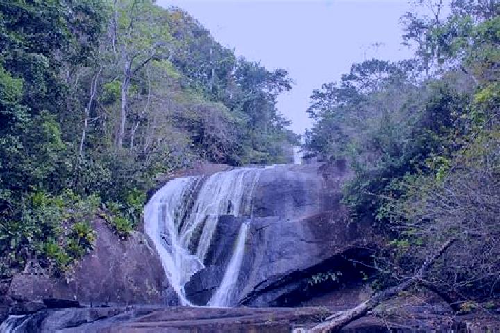 Layla, 27 — Escort in Sierra Imataca, Venezuela