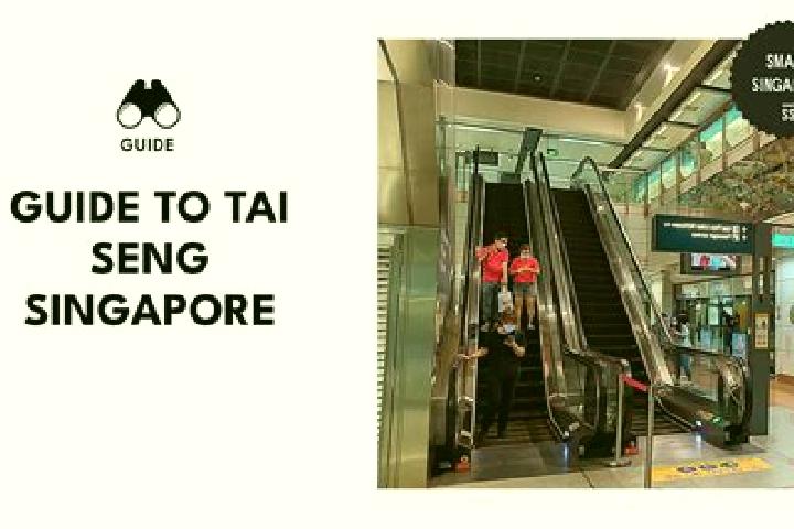 Layla, 27 — Escort in Tai Seng, Singapore