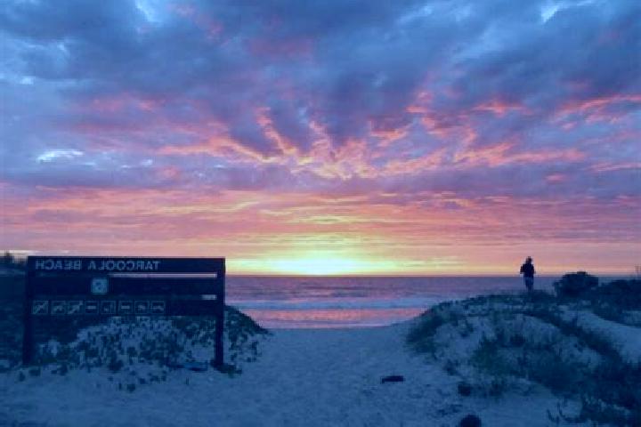 Layla, 27 — Escort in Tarcoola Beach, Australia