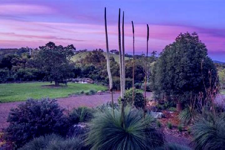 Layla, 27 — Escort in Windsor Gardens, Australia