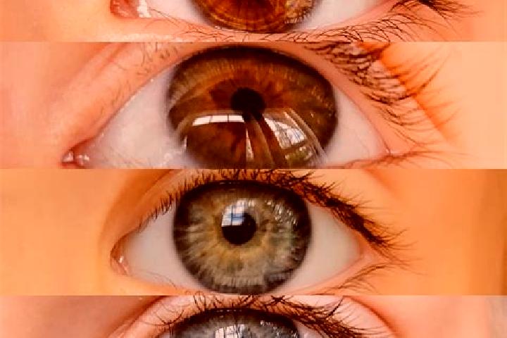 Layla, 28, a chestnut hazel-eyed caucasian companion based in Porto Mosquito. Offering Prostate Massage, CIM, Party Girl. Available for incall and outcall, d...
