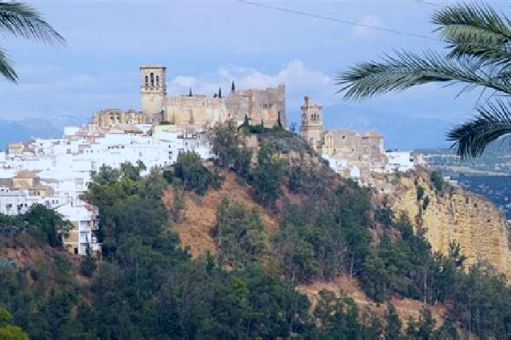 Layla, 28 — Escort in Cortes de la Frontera, Spain