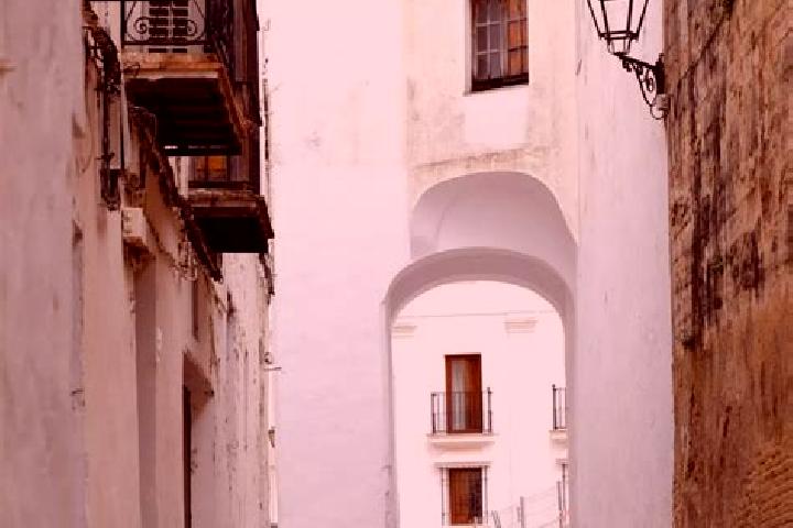 Layla, 29 — Escort in Arcos de las Salinas, Spain