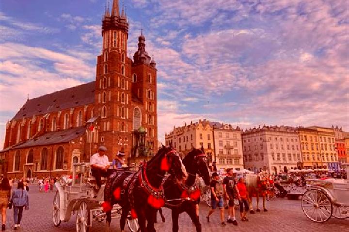 Layla, 29 — Escort in Cieletniki, Poland