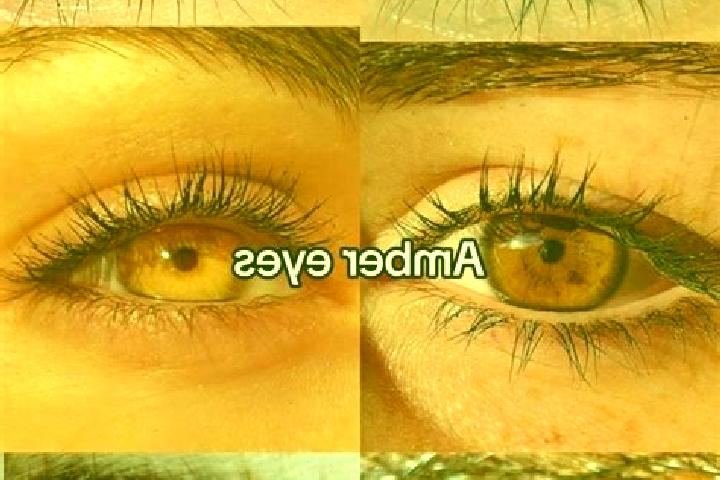 Layla, 30, a chestnut amber-eyed caribbean companion based in Diamelanzue. Offering GFE, Girlfriend Experience, Massage. Available for incall and outcall, ov...