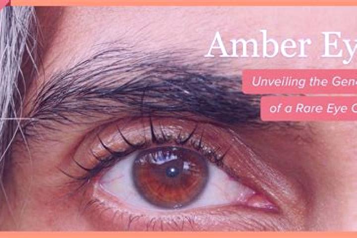 Layla, 30, a red amber-eyed middle eastern companion based in Temascalapa. Offering Roleplay, BDSM, GFE, Domination, Party Girl. Available for incall and out...