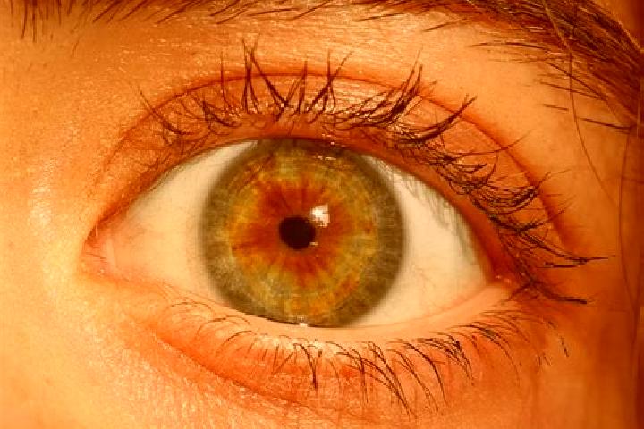 Layla, 30, a red hazel-eyed european companion based in Tolna. Offering Tantra, GFE, OWO, BDSM, Couples. Available for incall and outcall, overnight bookings...