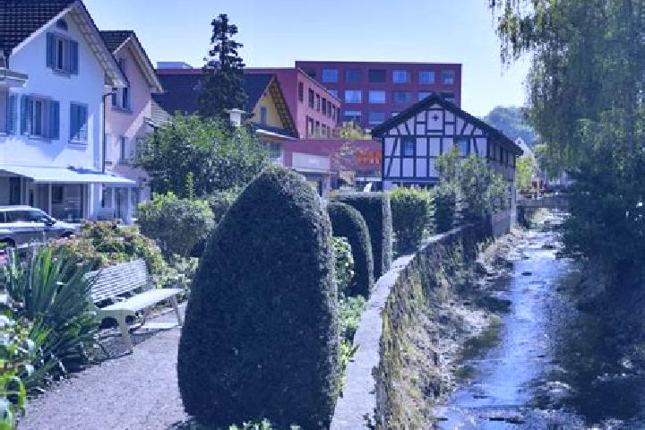Layla, 30 — Escort in Affoltern / Goldiger Berg, Switzerland