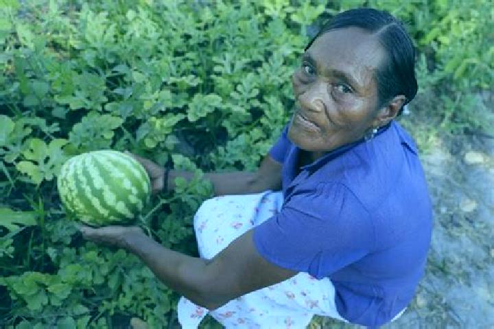 Layla, 30 — Escort in Palkaka, Honduras
