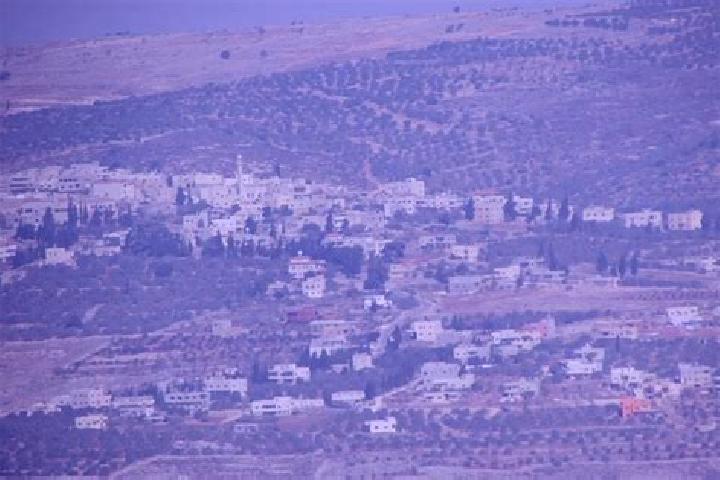 Layla, 30 — Escort in Yasid, Palestine