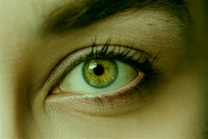 Layla, 31, a black hazel-eyed mixed companion based in Petit Trou de Nippes. Offering Erotic Massage, Girlfriend Experience, Dinner Date, Domination. Availab...