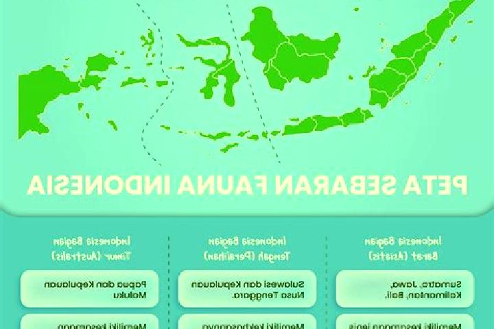 Layla, 31 — Escort in Bata Tengah, Indonesia