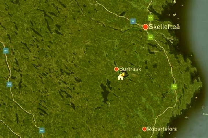 Layla, 31 — Escort in Burtraesk, Sweden