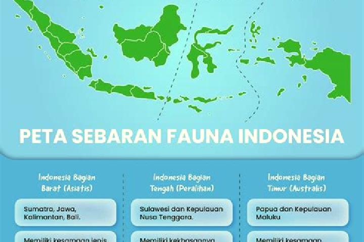 Layla, 31 — Escort in Gumuk Tengah, Indonesia