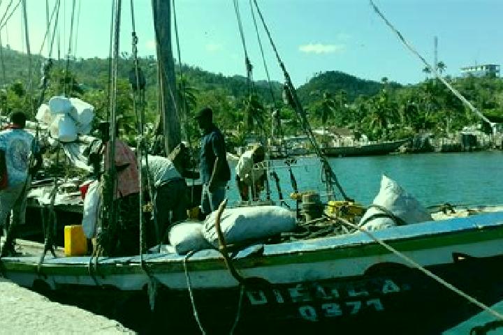 Layla, 31 — Escort in Roche-a-Bateau, Haiti