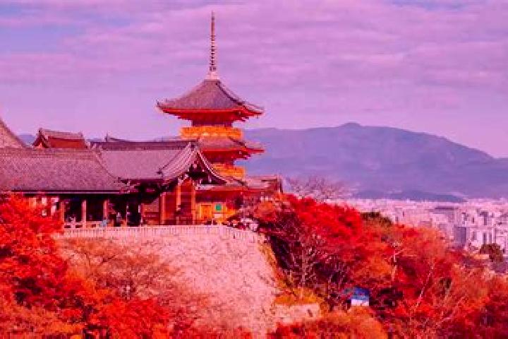 Layla, 32 — Escort in Otawara, Japan