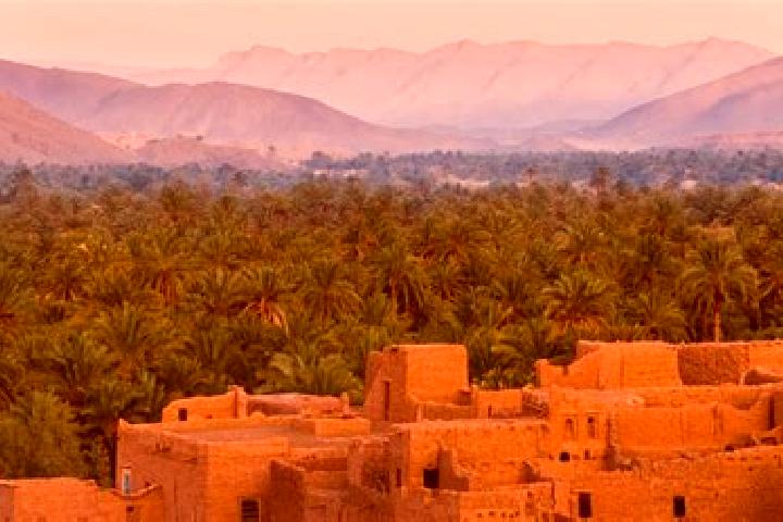 Layla, 32 — Escort in Oued Amlil, Morocco