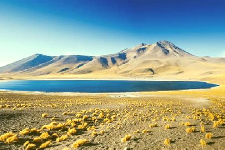 Layla, 32 — Escort in San Pedro de Atacama, Chile