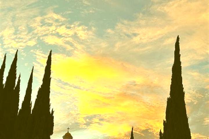 Layla, 32 — Escort in Tepeyanco, Mexico