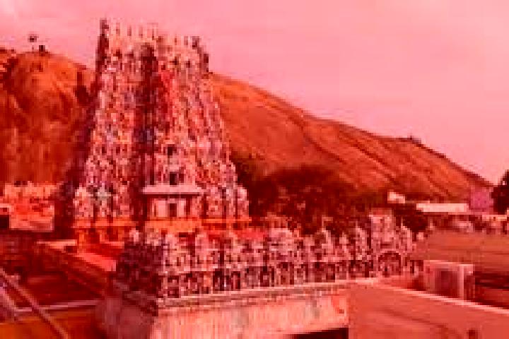 Layla, 32 — Escort in Tirupparangunram, India