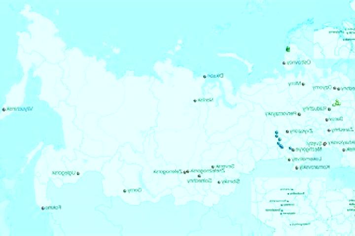 Layla, 32 — Escort in Vyazemskiy, Russia